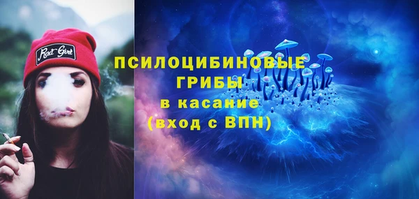 эйфоретик Алексеевка