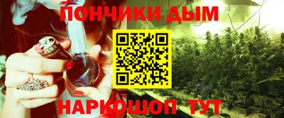шишки Ставрополь