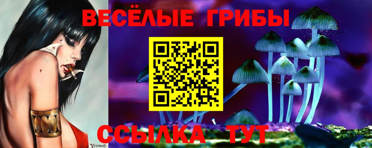 Галлюциногенные грибы Psilocybine cubensis Урай